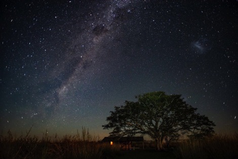 Night sky Ibera National Park Journeys with Purpose